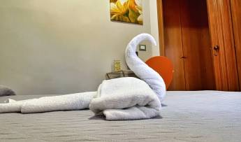 B&B Epos